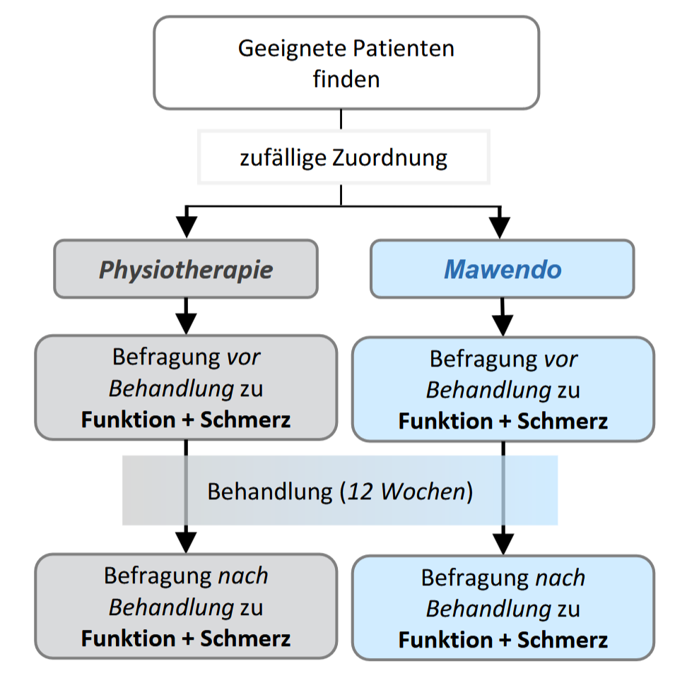 Ablaufdiagramm der Studie