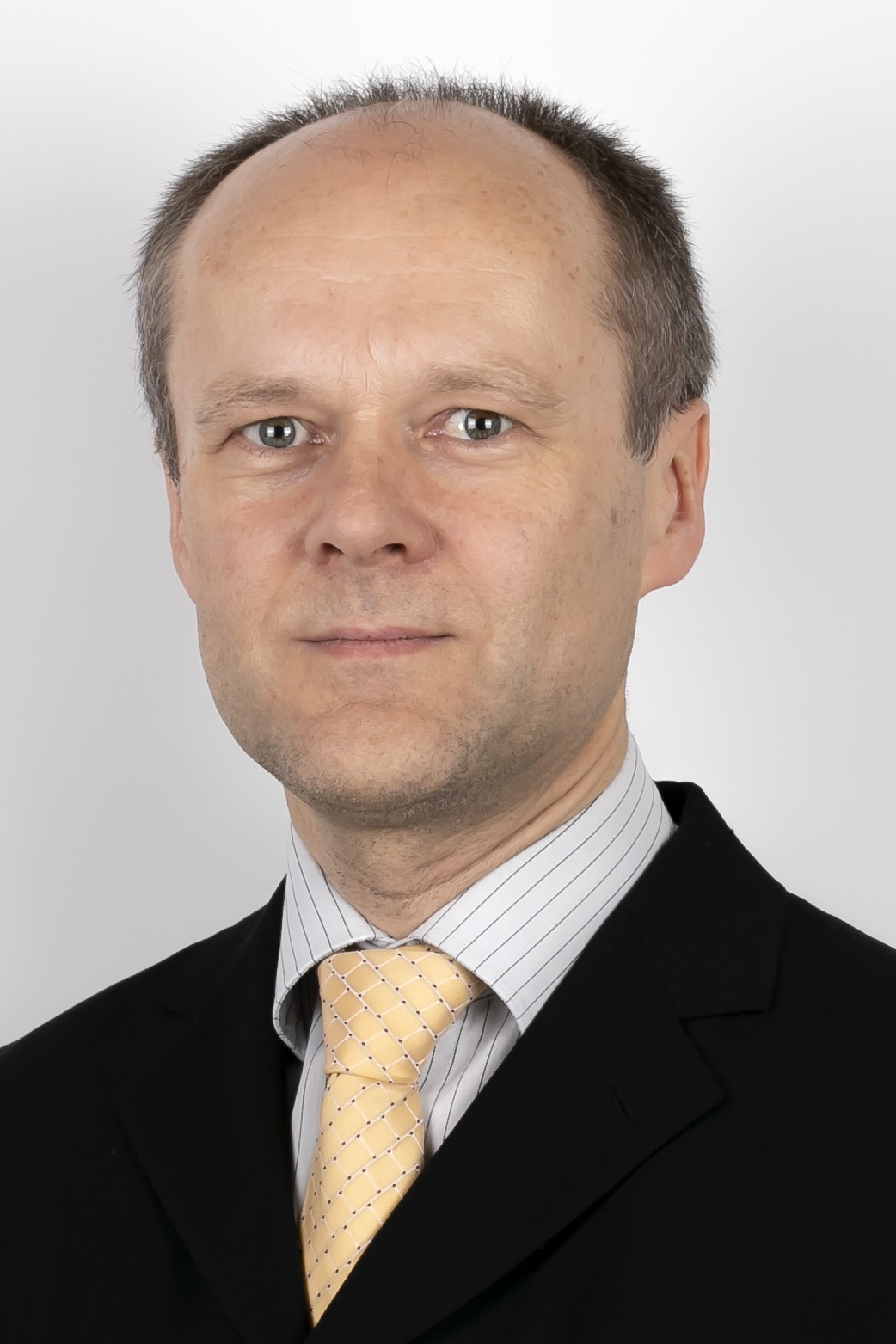 Prof. Dr. Alois Pichler