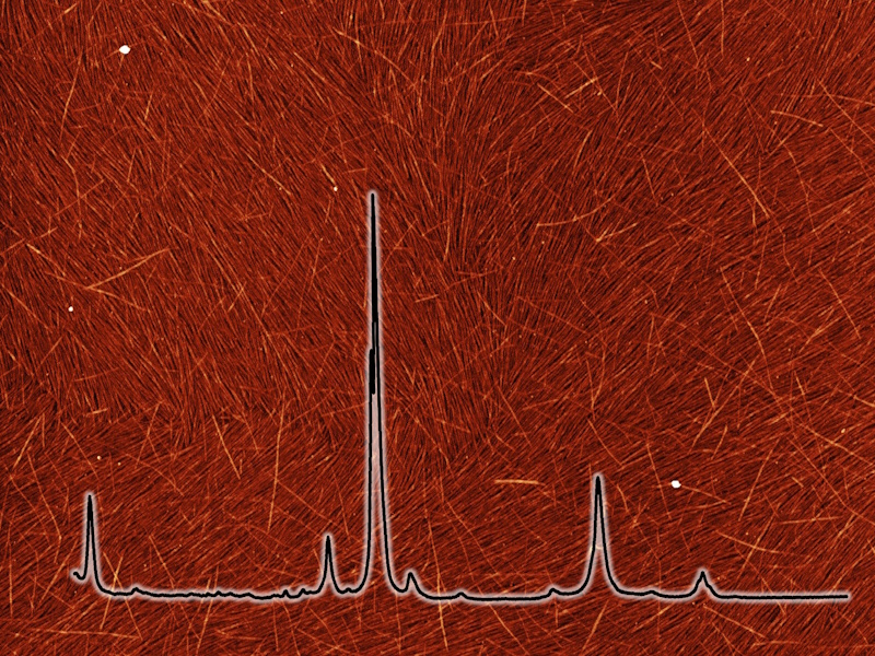 Topologische Analyse von 1D-Materialien