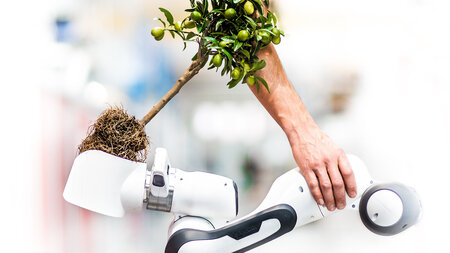 Montage eines Baumes, eines menschlichen Armes und eines Roboterarmes.