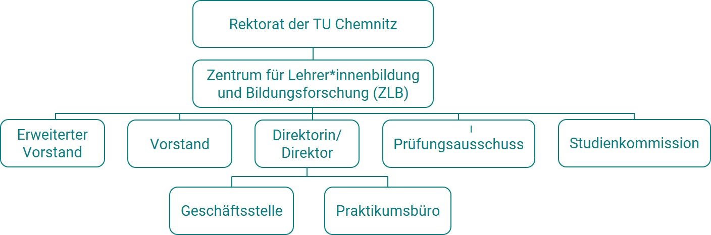 Übersicht der Struktureinheit Zentrum für Lehrerbildung